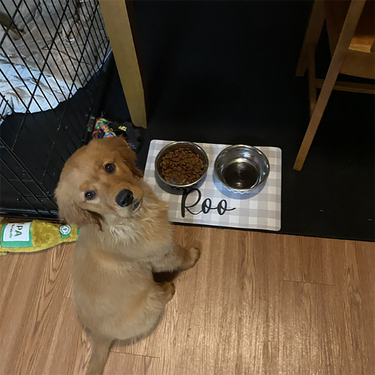 Dog Heaven™ Personalized Waterproof Placemat